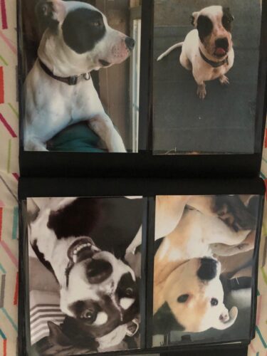 Kodak Dock & Wi-Fi Portable 4x6 Instant Photo Printer. Premium Quality Full Color Prints - Compatible w/iOS & Android Devices photo review